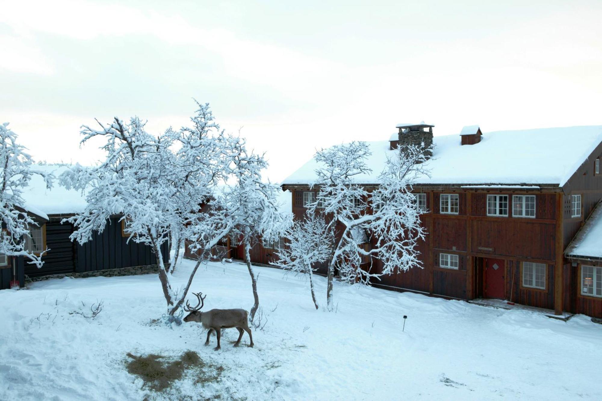 Harahorn Fjellgard Hotel Grondalen  Ngoại thất bức ảnh