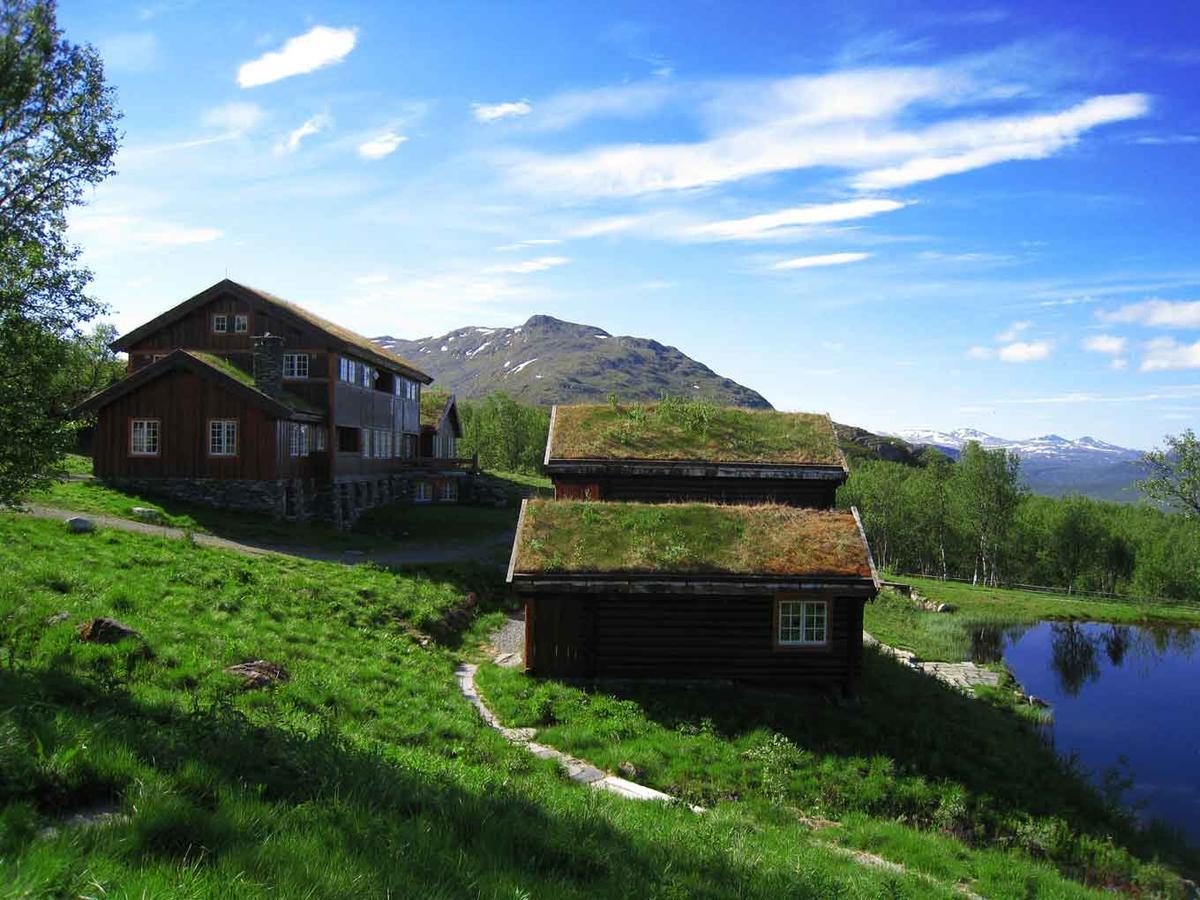 Harahorn Fjellgard Hotel Grondalen  Ngoại thất bức ảnh